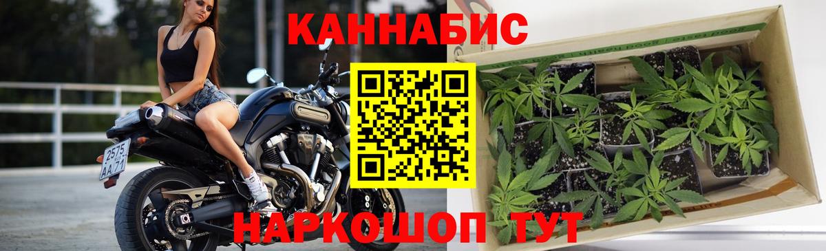 Конопля AK-47 Петрозаводск